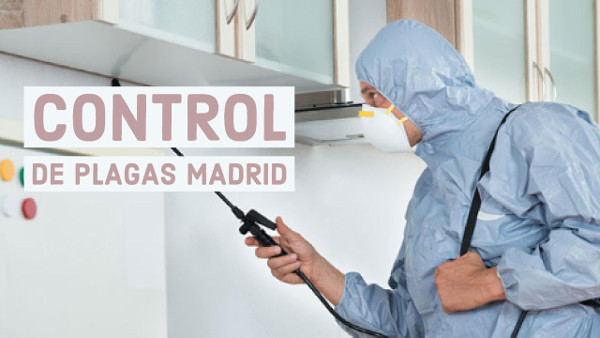 control de plagas madrid