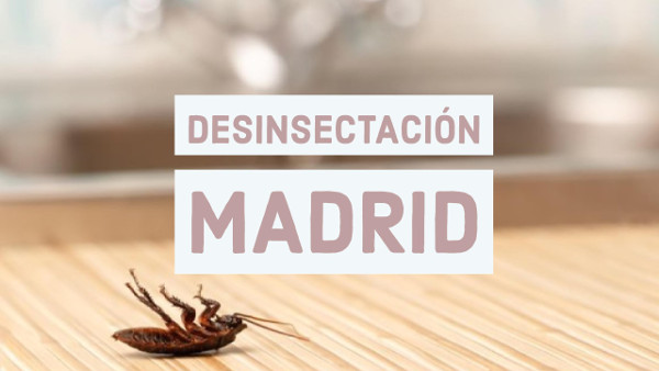 desinsectacion Madrid