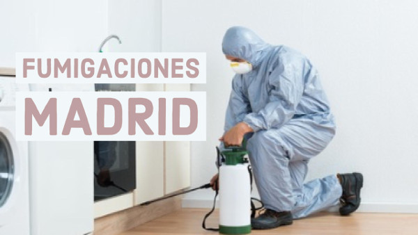 fumigaciones madrid