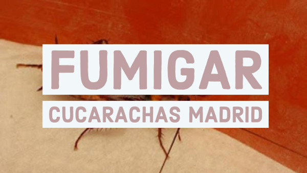 fumigar cucarachas madrid